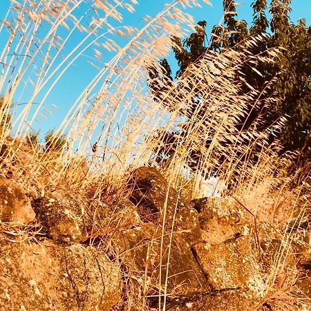 Σπίτι διακοπών Pomar Da Choca